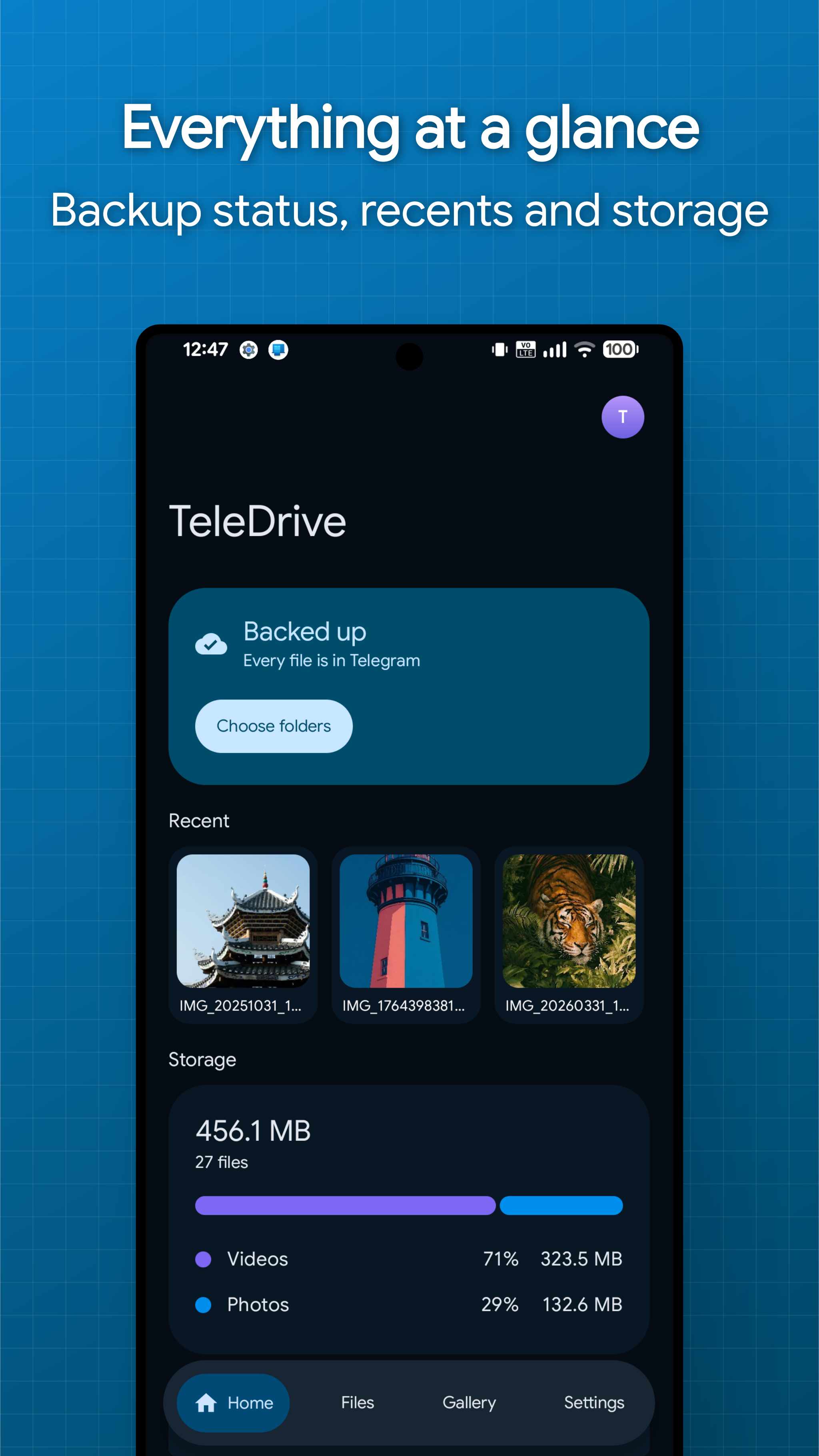 TeleDrive screenshot 3