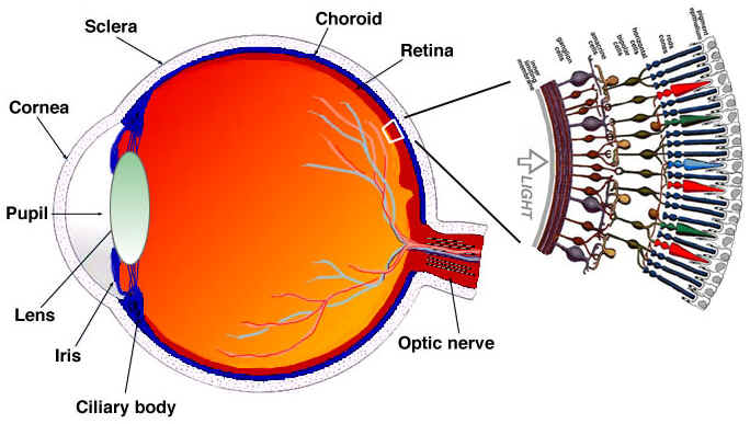 digital_video_introduction screenshot 8