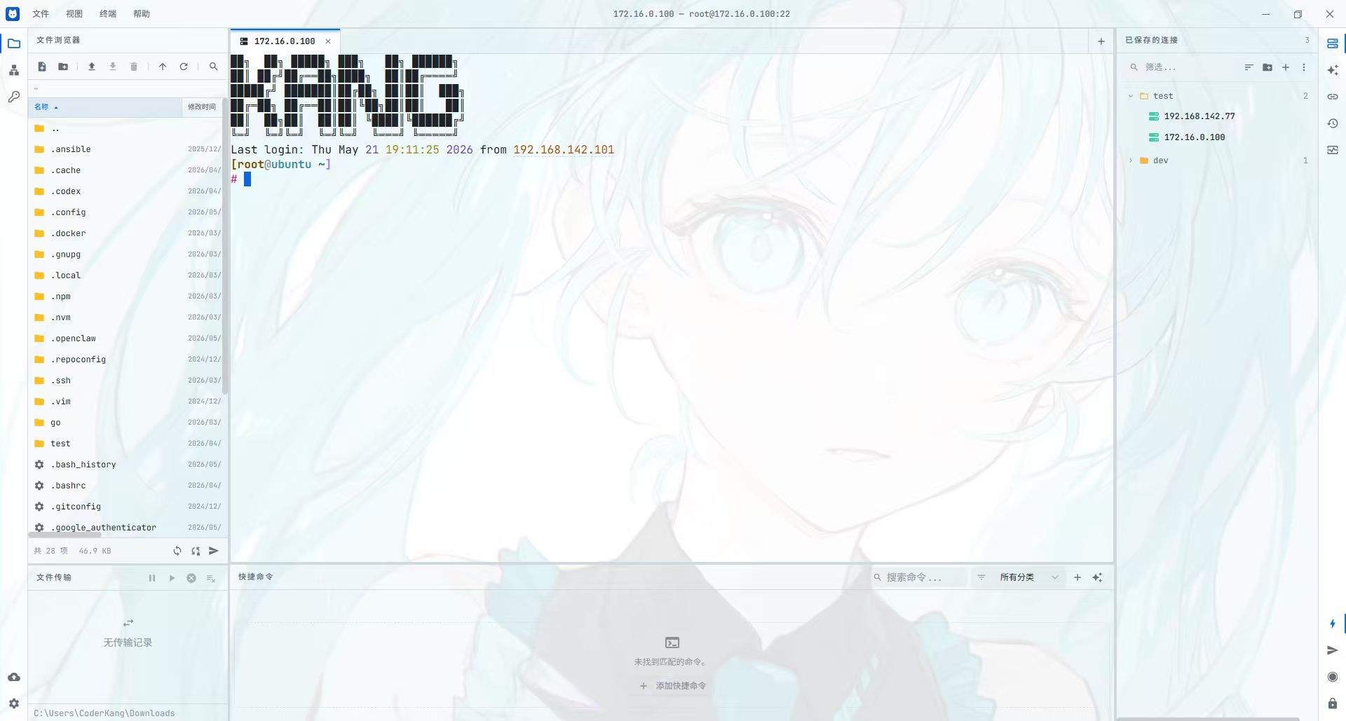 nyaterm screenshot 3
